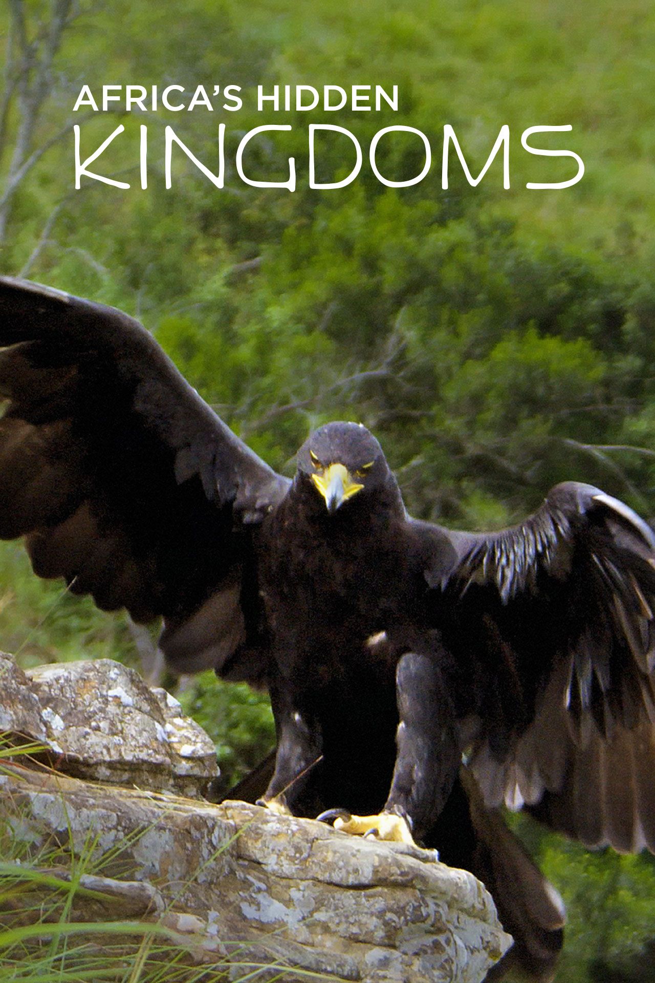 Africa's Hidden Kingdoms