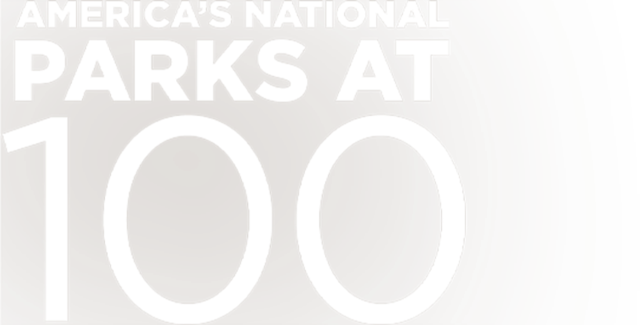 Parks at 100
