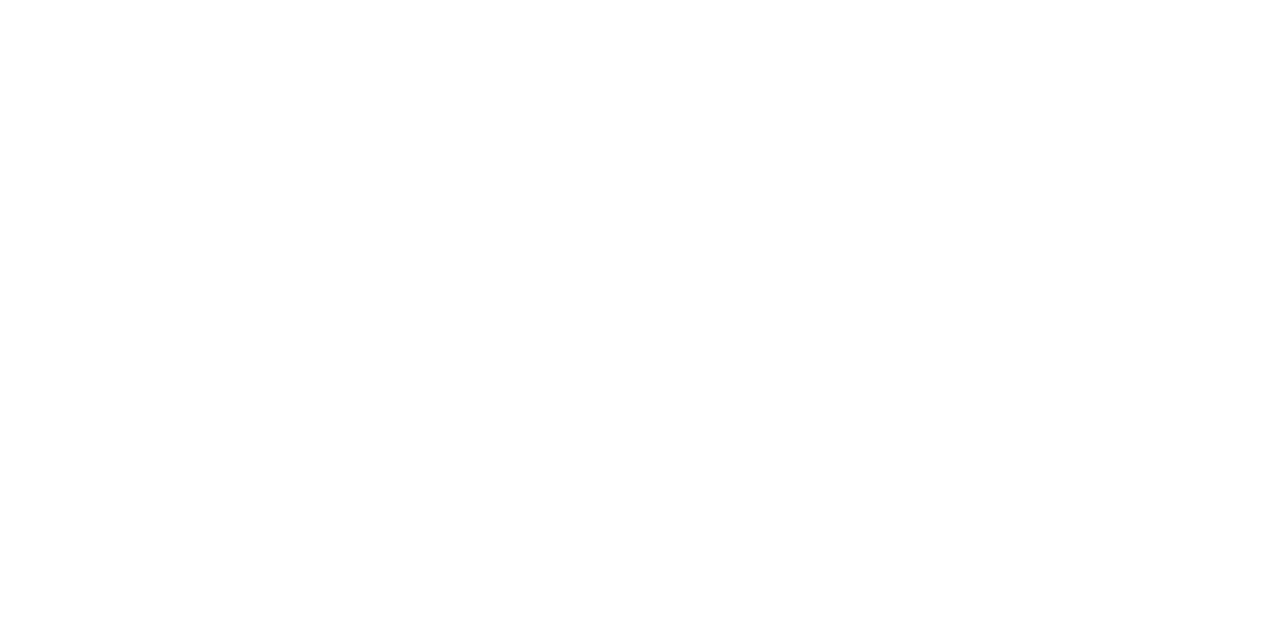 Air Disasters