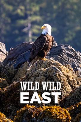 Wild Wild East