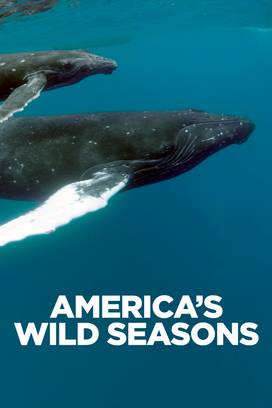 America's Wild Seasons