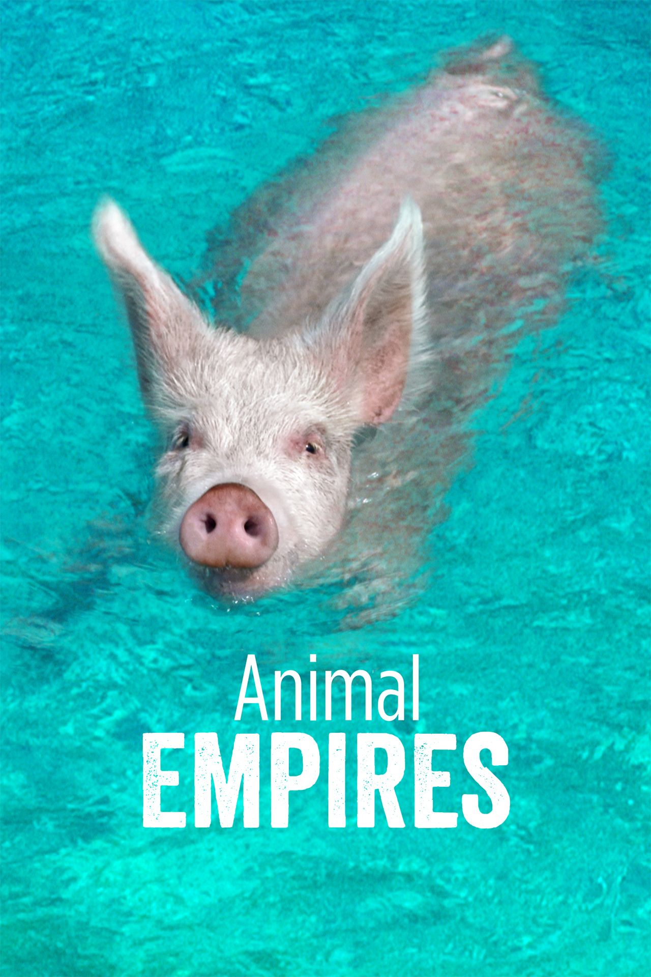 Animal Empires
