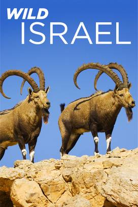 Wild Israel