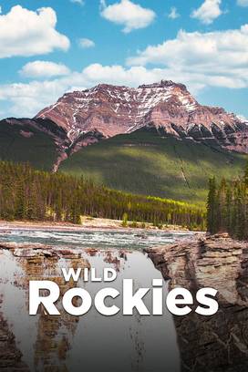 Wild Rockies