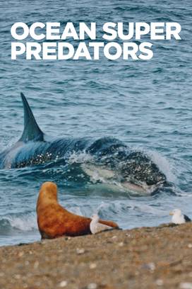 Ocean Super Predators