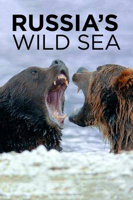 Russia's Wild Sea