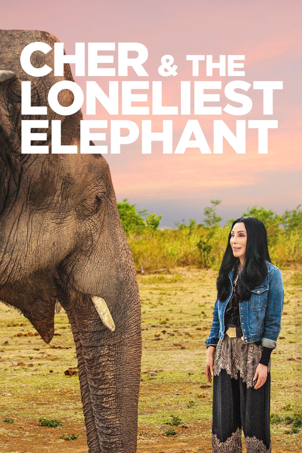 Cher & the Loneliest Elephant