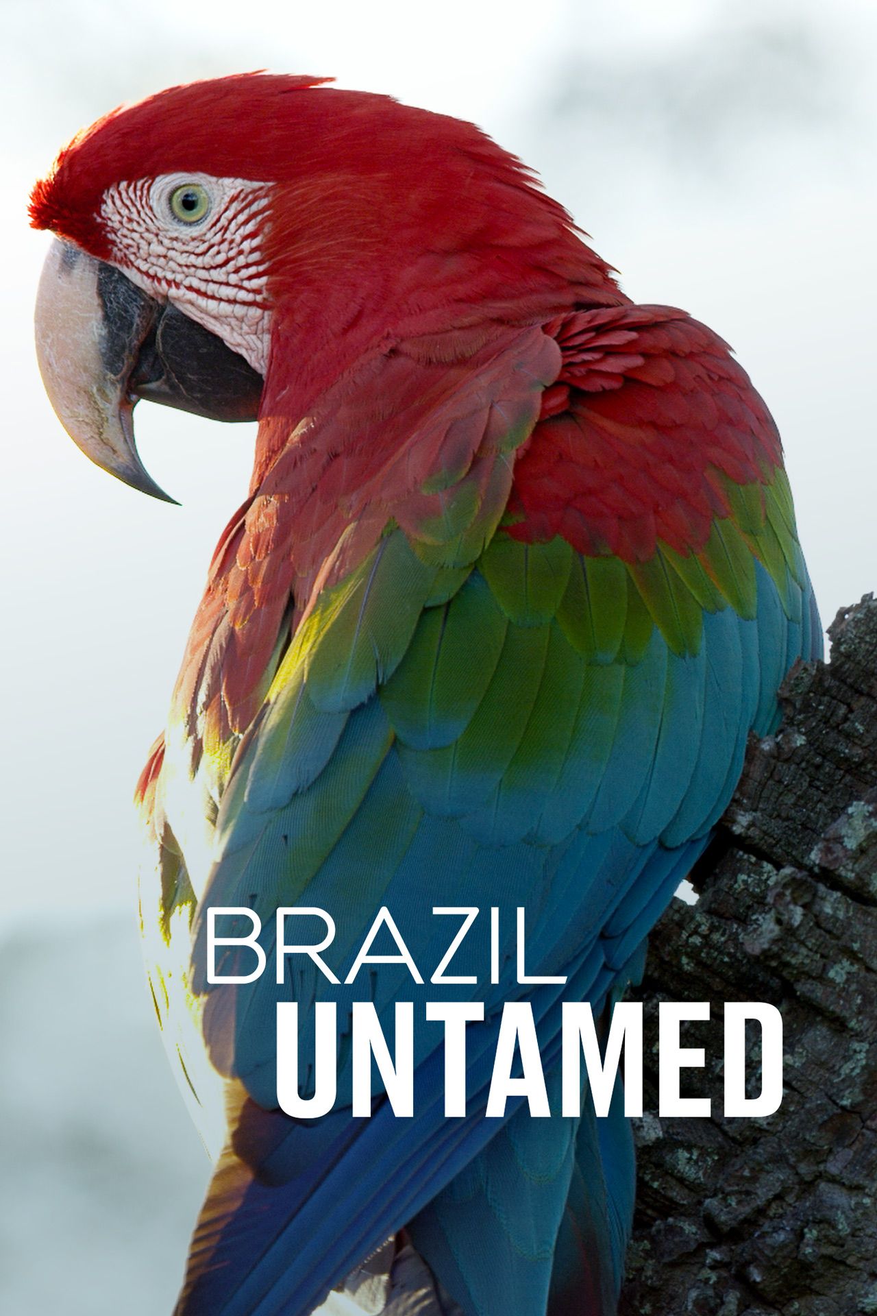 Brazil Untamed