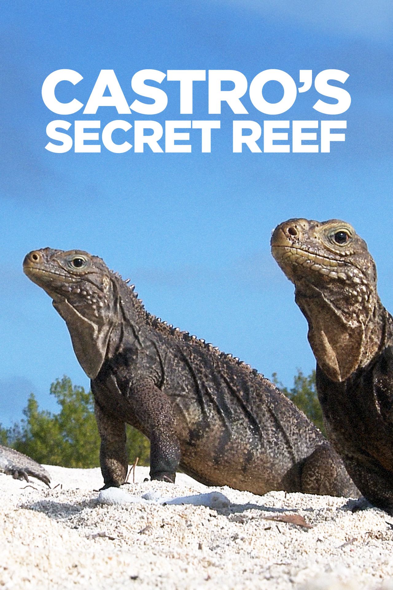 Castro's Secret Reef